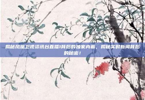 揭秘凤凰卫视资讯台直播1背后的独家内幕，揭秘实时新闻背后的秘密！