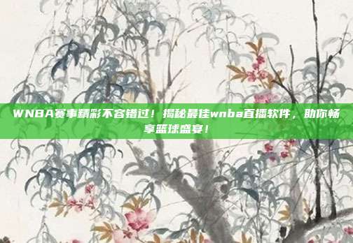 WNBA赛事精彩不容错过！揭秘最佳wnba直播软件，助你畅享篮球盛宴！