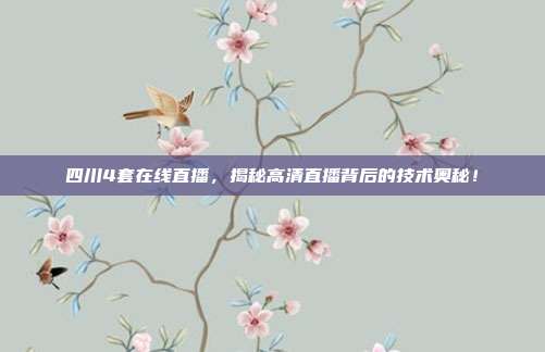 四川4套在线直播，揭秘高清直播背后的技术奥秘！