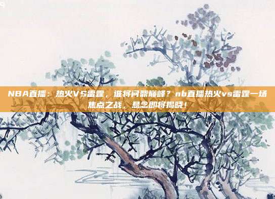 NBA直播：热火VS雷霆，谁将问鼎巅峰？nb直播热火vs雷霆一场焦点之战，悬念即将揭晓！