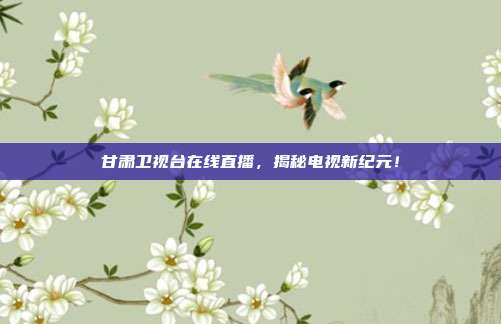 甘肃卫视台在线直播，揭秘电视新纪元！