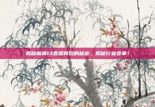 揭秘新闻13直播背后的秘密，揭秘行业变革！