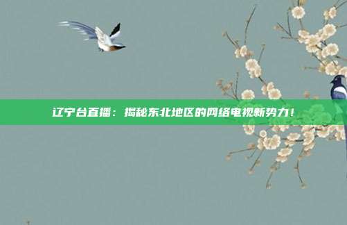辽宁台直播：揭秘东北地区的网络电视新势力！