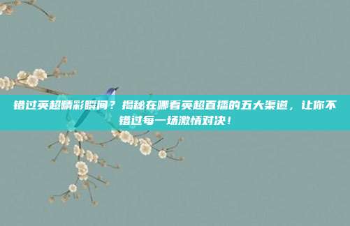 错过英超精彩瞬间？揭秘在哪看英超直播的五大渠道，让你不错过每一场激情对决！