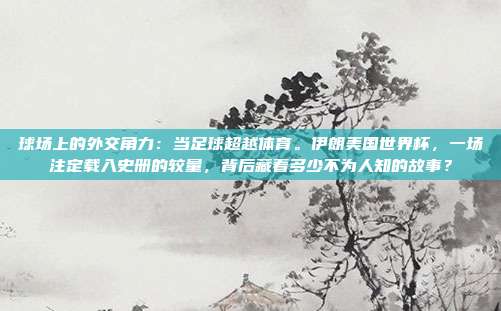 球场上的外交角力：当足球超越体育。伊朗美国世界杯，一场注定载入史册的较量，背后藏着多少不为人知的故事？