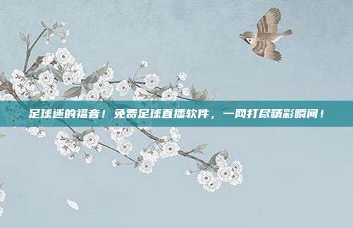 足球迷的福音！免费足球直播软件，一网打尽精彩瞬间！