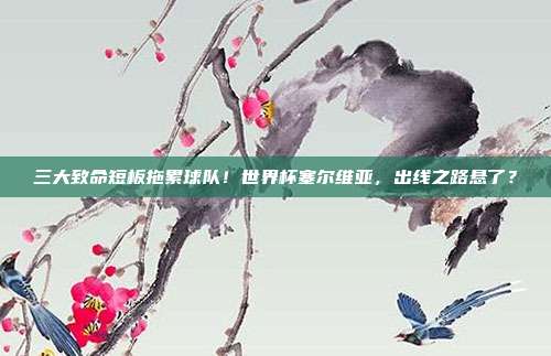 三大致命短板拖累球队！世界杯塞尔维亚，出线之路悬了？