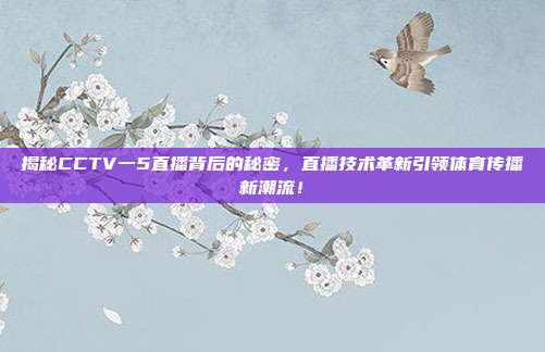 揭秘CCTV一5直播背后的秘密，直播技术革新引领体育传播新潮流！