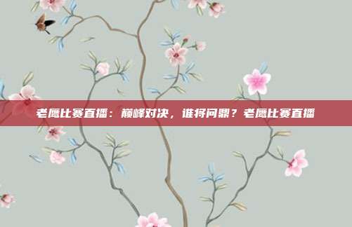 老鹰比赛直播：巅峰对决，谁将问鼎？老鹰比赛直播