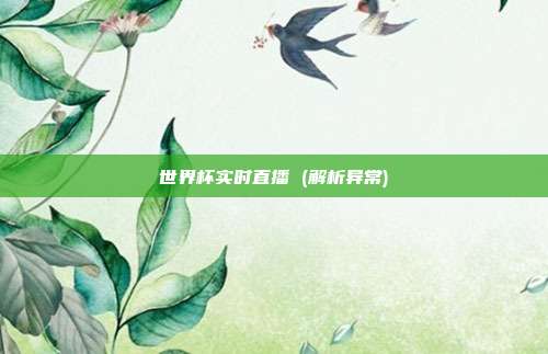 世界杯实时直播 (解析异常)