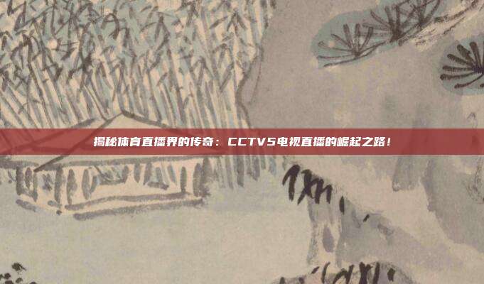 揭秘体育直播界的传奇：CCTV5电视直播的崛起之路！