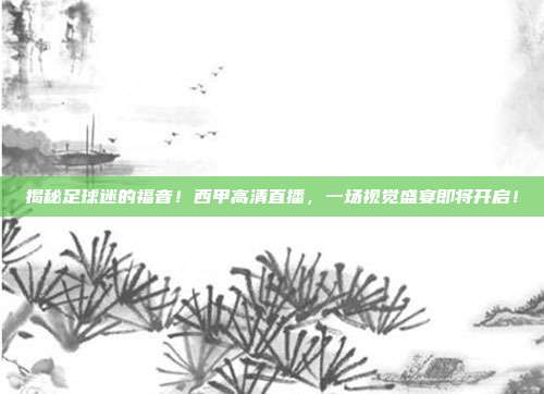 揭秘足球迷的福音！西甲高清直播，一场视觉盛宴即将开启！