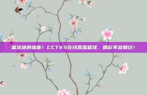 篮球迷的福音！CCTV5在线直播篮球，精彩不容错过！