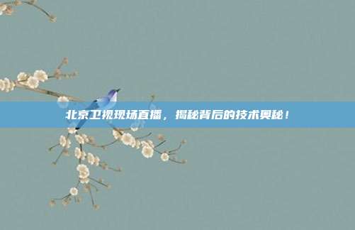 北京卫视现场直播，揭秘背后的技术奥秘！