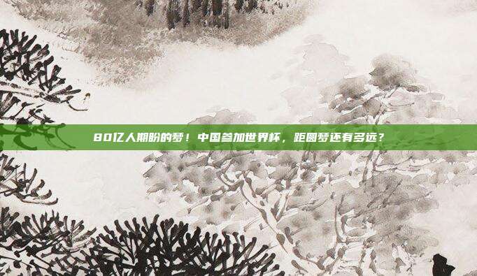 80亿人期盼的梦！中国参加世界杯，距圆梦还有多远？