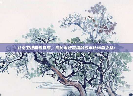 北京卫视回看直播，揭秘电视直播的数字化转型之路！