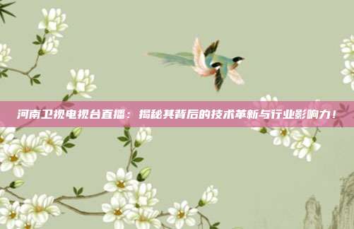 河南卫视电视台直播：揭秘其背后的技术革新与行业影响力！