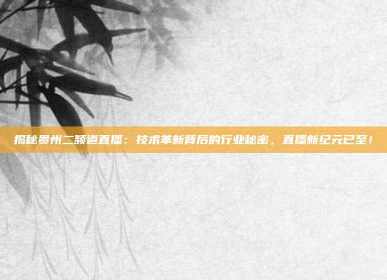 揭秘贵州二频道直播：技术革新背后的行业秘密，直播新纪元已至！