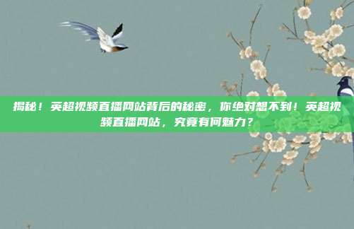 揭秘！英超视频直播网站背后的秘密，你绝对想不到！英超视频直播网站，究竟有何魅力？