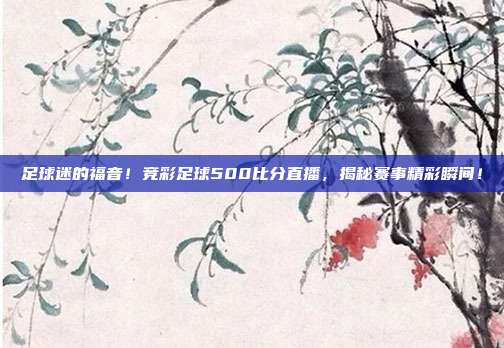 足球迷的福音！竞彩足球500比分直播，揭秘赛事精彩瞬间！