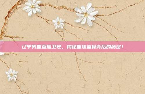 辽宁男篮直播卫视，揭秘篮球盛宴背后的秘密！