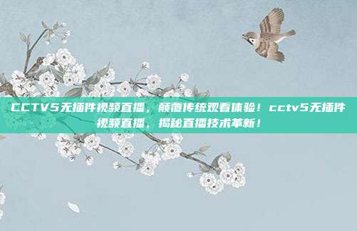 CCTV5无插件视频直播，颠覆传统观看体验！cctv5无插件视频直播，揭秘直播技术革新！