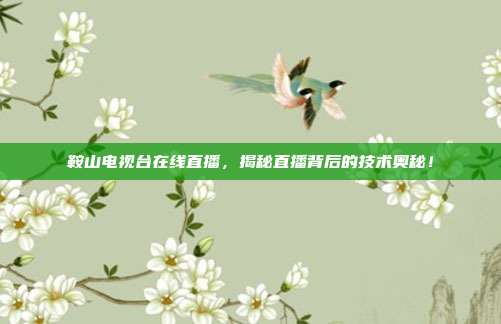 鞍山电视台在线直播，揭秘直播背后的技术奥秘！