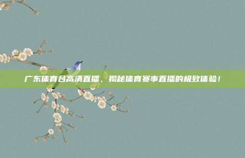 广东体育台高清直播，揭秘体育赛事直播的极致体验！