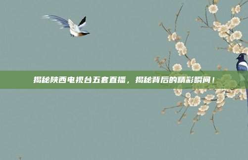 揭秘陕西电视台五套直播，揭秘背后的精彩瞬间！
