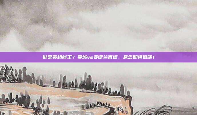 谁是英超新王？曼城vs桑德兰直播，悬念即将揭晓！
