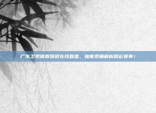 广东卫视体育频道在线直播，独家视角解析精彩赛事！