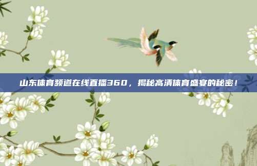 山东体育频道在线直播360，揭秘高清体育盛宴的秘密！