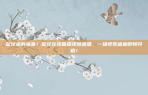 足球迷的福音！足球在线直播视频直播，一场视觉盛宴即将开启！