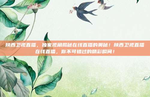陕西卫视直播，独家视角揭秘在线直播的奥秘！陕西卫视直播在线直播，你不可错过的精彩瞬间！