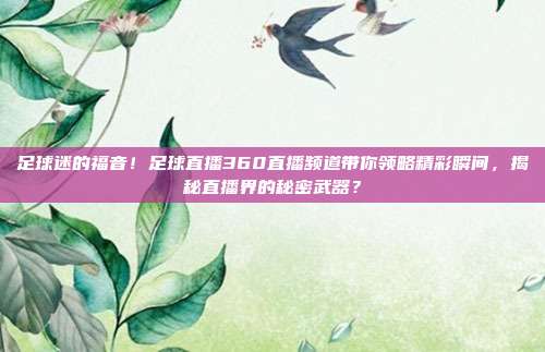 足球迷的福音！足球直播360直播频道带你领略精彩瞬间，揭秘直播界的秘密武器？