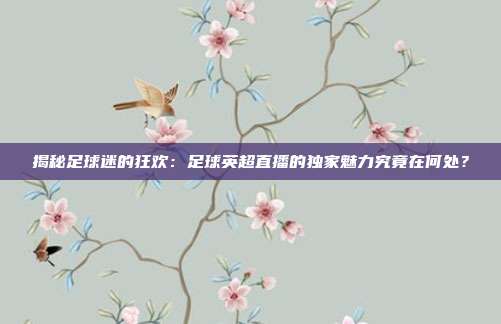 揭秘足球迷的狂欢：足球英超直播的独家魅力究竟在何处？
