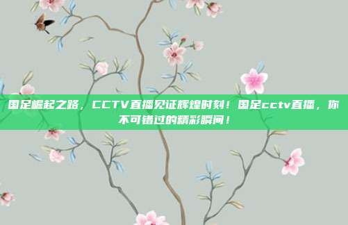 国足崛起之路，CCTV直播见证辉煌时刻！国足cctv直播，你不可错过的精彩瞬间！