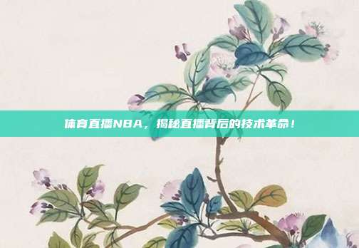 体育直播NBA，揭秘直播背后的技术革命！