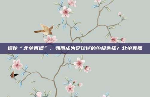 揭秘“北单直播”：如何成为足球迷的终极选择？北单直播