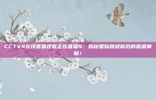 CCTV4在线直播观看正在直播4：揭秘国际频道背后的直播奥秘！