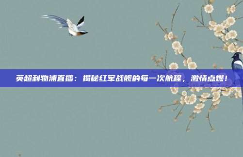 英超利物浦直播：揭秘红军战舰的每一次航程，激情点燃！