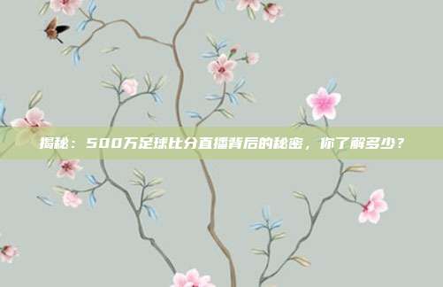 揭秘：500万足球比分直播背后的秘密，你了解多少？