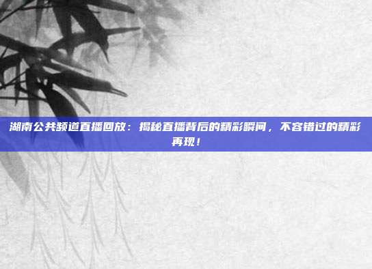 湖南公共频道直播回放：揭秘直播背后的精彩瞬间，不容错过的精彩再现！