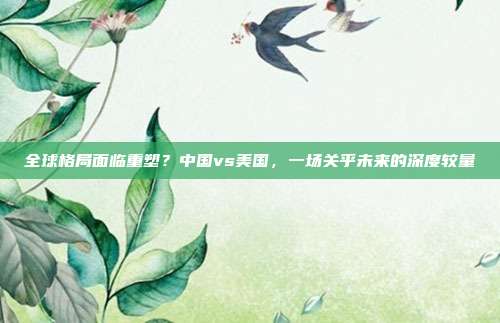 全球格局面临重塑？中国vs美国，一场关乎未来的深度较量