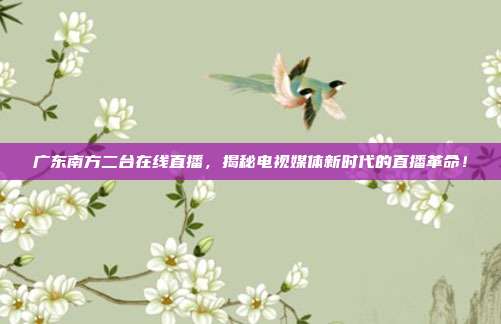 广东南方二台在线直播，揭秘电视媒体新时代的直播革命！