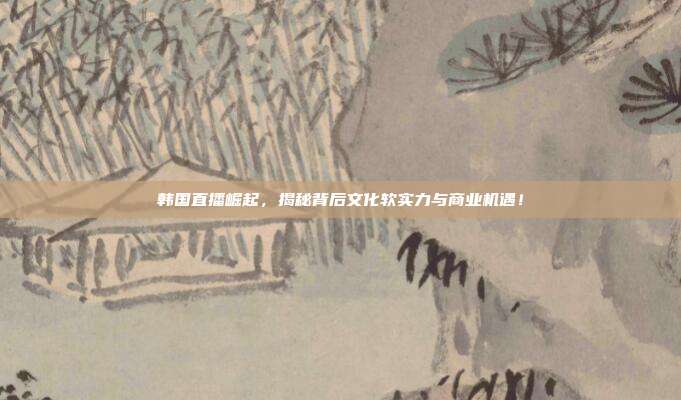 韩国直播崛起，揭秘背后文化软实力与商业机遇！