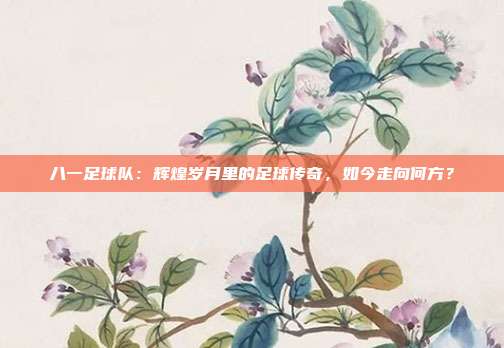 八一足球队：辉煌岁月里的足球传奇，如今走向何方？