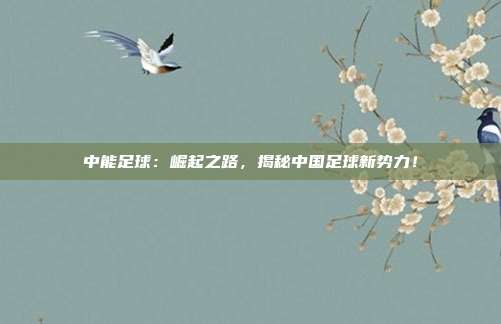 中能足球：崛起之路，揭秘中国足球新势力！