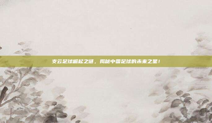 支云足球崛起之谜，揭秘中国足球的未来之星！