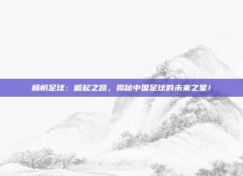 杨帆足球：崛起之路，揭秘中国足球的未来之星！